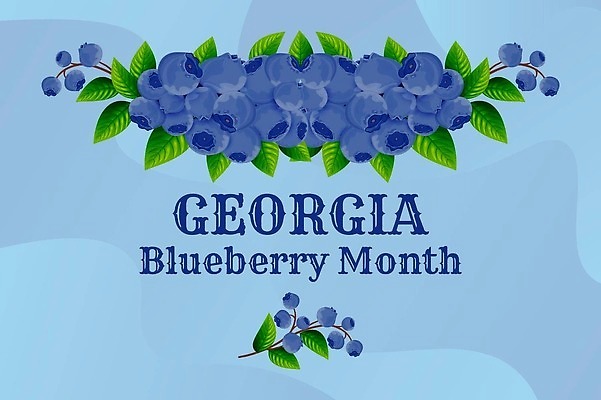 EPS 해외이미지 식물 템플릿 디자인 열매 음식 백그라운드 잎 과일 일러스트 자연 휴가 기념 이벤트 장식 초록색 파란색 정원 보라색 미국 수확 나뭇가지 축하 신선 신용카드 6월 제비꽃 가발 유기농 질감 블루베리 초대 내추럴 월 숙성 월귤 조지아 벡터 국경 해외202309 해외일러스트 나무 웰빙 꽃 컬러 컨셉 북아메리카 농업 금융 날짜 생태계 동유럽 파일형식