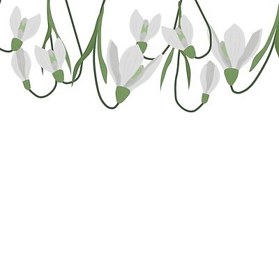 EPS 해외이미지 식물 꽃잎 꽃 꽃다발 백그라운드 잎 꽃무늬 일러스트 자연 프레임 야외 초록색 정원 봄 낭만 흰색 축하 신용카드 숲 4월 유기농 고립 헌병 해외202309 해외일러스트 웰빙 계절 컬러 컨셉 무늬 금융 군인 날짜 생태계 파일형식 벡터