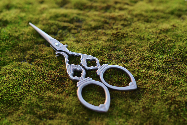 포토 JPG 해외이미지 1 디자인 날씨 사람없음 장식 초록색 뷰티 유행 금속 장비 수확 골동품 공구 업무 오픈 칼날 닫기 자르기 철 묘사 오브젝트 부식 싱글 복고 클립 날카로움 재단 곰팡이 그런지 옛날 이발사 철강 해외202309 해외포토 컬러 농업 모션 재질 도구 작업 파일형식