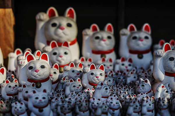 포토 JPG 해외이미지 동물 전통 문화 인형 새해 사람없음 반려동물 장난감 고양이 도자기 재산 함선 초대 올가미 해외202309 해외포토 배_교통 포유류 금융 파일형식