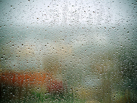 포토 JPG 해외이미지 디자인 계절 컬러 컨셉 잎 패턴 밭 벽지 하늘 표면 주택 건조 사람없음 빛 컬러풀 햇빛 반사 환경 흐름 흰색 물방울 투명 닫기 매끈함 소프트포커스 질감 보케 광택 10월 블러 샤워실 많음 효과 해외202309 해외포토 식물 무늬 농업 모션 촬영기법 건물 태양 감각 날짜 샤워시설 파일형식