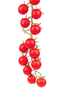 포토 JPG 해외이미지 음식 백그라운드 잎 토마토 채소 과일 재료 자연 건강 사람없음 빨간색 초록색 흰색 물방울 나뭇가지 신선 체리 그룹 작음 유기농 고립 숙성 해외202309 해외포토 나무 식물 웰빙 컬러 크기 생태계 파일형식