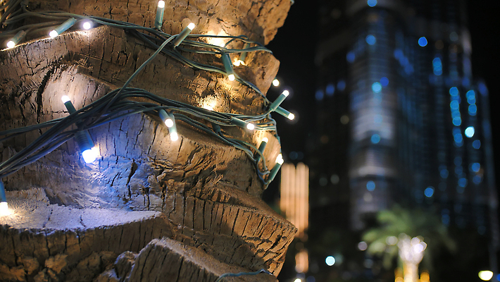 포토 JPG 해외이미지 나무 실루엣 컬러 여행 백그라운드 잎 크리스마스 자연 하늘 호텔 추상 휴가 거리 기념 손바닥 사람 사람없음 야외 장식 빛 야자수 숫자 파티 정원 축제 화환 수확 램프 도시 화려 정상 야간 저녁 질감 빛망울 해외202309 해외포토 자연요소 식물 문자 손 기념일 꽃 컨셉 무늬 농업 숙소 조명 촬영기법 이벤트 생태계 파일형식