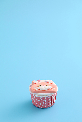 포토 JPG 해외이미지 사람없음 장식 한개 고양이 달콤 컵케이크 생크림 파란배경 카피스페이스 해외202309 해외포토 1 백그라운드 포유류 파란색 반려동물 케이크 공백 맛 크림 파일형식