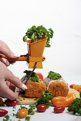 포토 JPG 해외이미지 전통 접시 음식 백그라운드 재료 파슬리 육류 돼지고기 요리 사람없음 목재 주방 식사 어둠 소고기 시골 신선 원형 조미료 소시지 상품 자르기 묶기 굽기 먹기 받침대 대나무 향신료 매움 날것 노끈 내추럴 다진 핸드메이드 맛있는 해외202309 해외포토 도형 나무 식기 줄 채소 식재료 모션 가공식품 맛 구이 향미료 파일형식