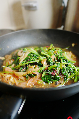 포토 JPG 해외이미지 라이프스타일 잎 채소 부분 건강 사람없음 초록색 쌓기 샐러드 젖음 신선 먹기 허브 비타민 흙더미 해외202309 해외포토 식물 음식 컬러 모션 생활 흙 영양소 파일형식 더미