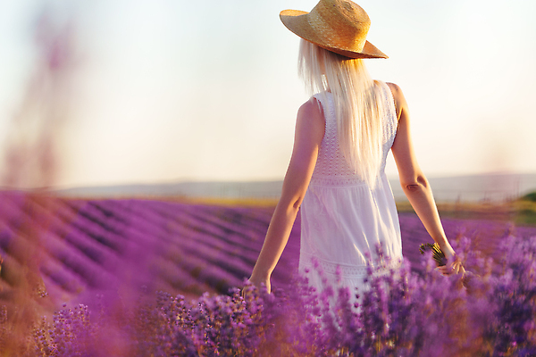 포토 JPG 해외이미지 여자 꽃밭 한명 상반신 성인 야외 뒷모습 금발 일몰 밀짚모자 라벤더 프로방스 성인여자한명만 해외202309 해외포토 모자_잡화 1 헤어스타일 꽃 뷰포인트 사람 노을 허브 여자한명만 성인여자만 파일형식