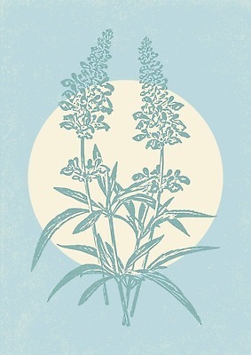 EPS 해외이미지 클립아트 식물 템플릿 편집 디자인 실루엣 포스터 줄기 잎 꽃무늬 오렌지 일러스트 자연 벽지 추상 흑백 미술 그래픽 장식 여름 파란색 정원 봄 수확 벚꽃 나뭇가지 신용카드 우아함 미술관 인쇄 스케치 허브 그림 복고 엽서 아로마 판화 세이지 스크랩북 엘리먼트 벡터 해외202309 해외일러스트 나무 계절 꽃 컬러 컨셉 무늬 농업 과일 문화예술 촬영기법 금융 편지 생태계 파일형식