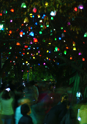 포토 JPG 해외이미지 나무 백그라운드 크리스마스 겨울 패턴 자연 조명 주택 선물 풍경 사람없음 야외 내부 건물 목재 장식 초록색 빛 크리스마스트리 산타클로스 도시 야간 12월 천 질감 네온 주도 해외202309 해외포토 자연요소 식물 건축물 계절 기념일 컬러 무늬 재료 직물 예절 날짜 생태계 파일형식