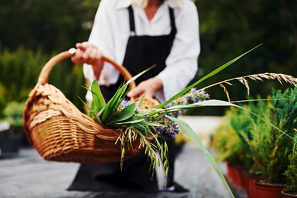 포토 JPG 해외이미지 백인 여자 노년 행복 화분 한명 들기 상반신 취미 야외 앞모습 아웃포커스 실버라이프 정원 봄 기쁨 원예 꽃바구니 원예식물 원예용품 노인여자한명만 해외202309 해외포토 서양인 식물 1 라이프스타일 계절 꽃 감정 뷰포인트 생활용품 모션 촬영기법 사람 성인 바구니 여자한명만 노인여자만 파일형식