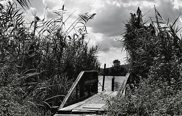 포토 JPG 해외이미지 공원 호수 여행 백그라운드 자연 휴가 휴식 흑백 갈대 풍경 사람없음 야외 물 강 햇빛 여행객 평화 항구 맑음 침묵 농촌 시골 고독 방파제 카피스페이스 해외202309 해외포토 자연요소 식물 공공시설 감정 컨셉 교통시설 날씨 촬영기법 사람 태양 소리 공백 생태계 파일형식