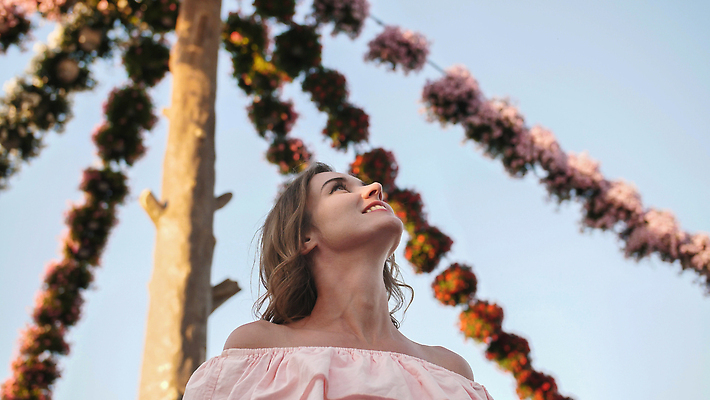 포토 JPG 해외이미지 식물 디자인 계절 공원 컬러 여행 꽃무늬 자연 하늘 휴가 한명 풍경 잔디 야외 장식 빨간색 초록색 여름 컬러풀 햇빛 뷰티 봄 벚꽃 개화 기적 두바이 오아시스 피튜니아 해외202309 해외포토 1 공공시설 꽃 무늬 사람 태양 생태계 아랍에미리트 파일형식