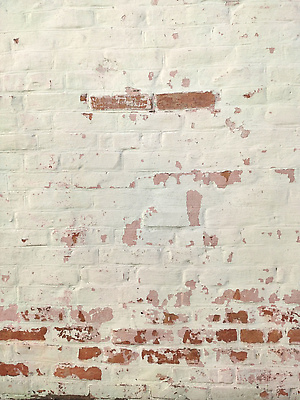 포토 JPG 해외이미지 디자인 벽 백그라운드 패턴 오렌지 건축양식 태국 자연 벽지 표면 날씨 추상 벽돌 돌담 사람없음 가로 빨간색 갈색 노란색 블록 골동품 껍질 구멍 거친 묘사 질감 내추럴 고체 그런지 석회암 옛날 지질학 해외202309 해외포토 교육 건축 아시아 컬러 무늬 과일 담장 암석 돌_바위 생태계 파일형식