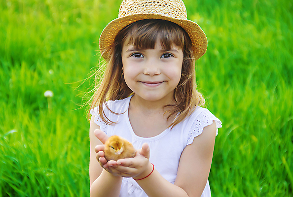포토 JPG 해외이미지 한마리 여자 어린이 병아리 한명 들기 상반신 야외 앞모습 밀짚모자 소녀한명만 해외202309 해외포토 모자_잡화 1 뷰포인트 모션 조류 사람 여자한명만 소녀만 파일형식