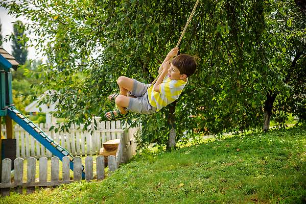 포토 JPG 해외이미지 나무 1 라이프스타일 공원 남자 행복 어린이 밧줄 모션 자연 놀이 하늘 매달리기 한명 웃음 사람 소년 야외 10대 햇빛 맑음 점프 활발 기쁨 하이킹 자유 숲 그네 흥분 해외202309 해외포토 식물 공공시설 감정 줄 컨셉 청소년 레저 날씨 표정 생활 태양 생태계 파일형식
