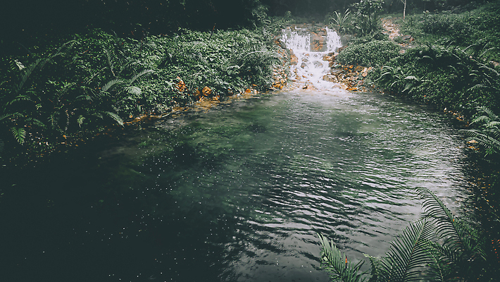 포토 JPG 해외이미지 나무 식물 공원 여행 백그라운드 잎 모션 태국 자연 하늘 휴가 휴식 산 사람없음 야외 목재 초록색 물 파란색 강 뷰티 환경 봄 폭포 젖음 흐름 신선 개울 숲 시원함 순수 내추럴 전국 해외202309 해외포토 자연요소 계절 공공시설 아시아 컬러 컨셉 재료 생태계 파일형식