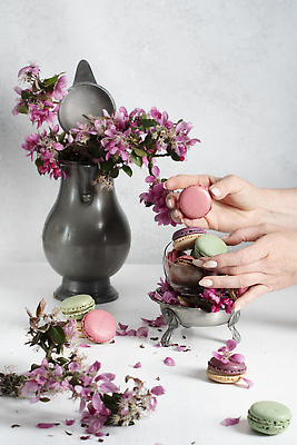 포토 JPG 해외이미지 손 꽃잎 봄꽃 들기 신체부위 장식 꽃병 원예 마카롱 해외202309 해외포토 꽃 모션 디저트 사람 취미 봄 파일형식