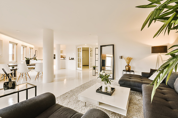 포토 JPG 해외이미지 식물 화분 의자 탁자 사람없음 인테리어 문 카펫 공간 거울 방 스탠드 기둥 책상 해외202309 해외포토 디자인 건축 가구 조명 파일형식