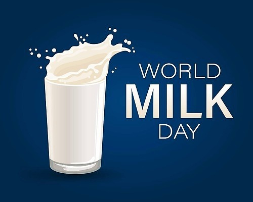 EPS 해외이미지 디자인 배너 음료 음식 백그라운드 컨셉 일러스트 텍스트 유리 추상 건강 그래픽 세계 우유 흰색 신선 신용카드 액체 떨어짐 아침식사 상품 6월 심볼 크림 유기농 비타민 내추럴 고립 전국 칼슘 스플래쉬 스타일 벡터 해외202309 해외일러스트 웰빙 컬러 무늬 재질 유제품 금융 식사 날짜 영양소 파일형식