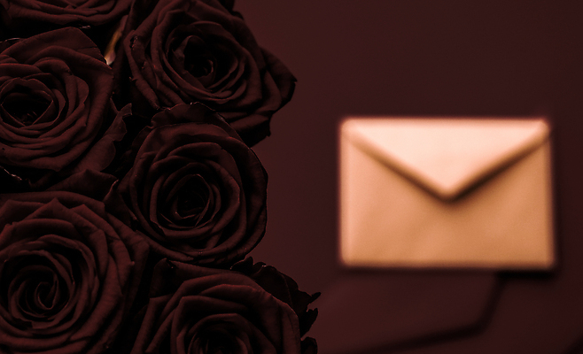 포토 JPG 해외이미지 꽃다발 백그라운드 편지봉투 발렌타인데이 사람없음 장미 어둠 러브레터 해외포토 꽃 데이이벤트 봉투 편지 파일형식