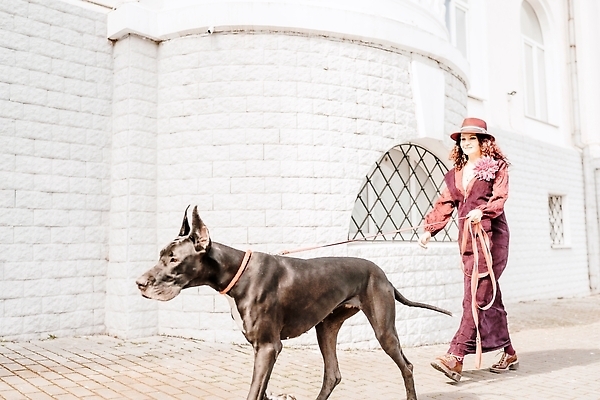포토 JPG 해외이미지 전신 한마리 건축물 여자 반려견 길 한명 성인 야외 옆모습 걷기 산책 잡기 대형견 목줄 성인여자한명만 그레이트덴 해외202309 해외포토 1 건축 뷰포인트 모션 휴식 사람 반려동물 개 여자한명만 성인여자만 파일형식 반려용품
