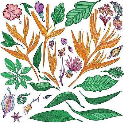 EPS 해외이미지 나무 식물 디자인 계절 꽃 분홍색 꽃다발 잎 꽃무늬 오렌지 일러스트 태국 자연 휴식 손바닥 그래픽 장식 초록색 여름 세트 컬러풀 뷰티 정원 보라색 스파 봄 흰색 나뭇가지 열대우림 스케치 인도인 수집 오브젝트 하와이 윤곽 남쪽 고립 엘리먼트 이국적 파라다이스 하와이인 벡터 해외202309 해외일러스트 외국인 손 아시아 컬러 컨셉 무늬 과일 미술 동양인 미국 숲 방향 생태계 파일형식