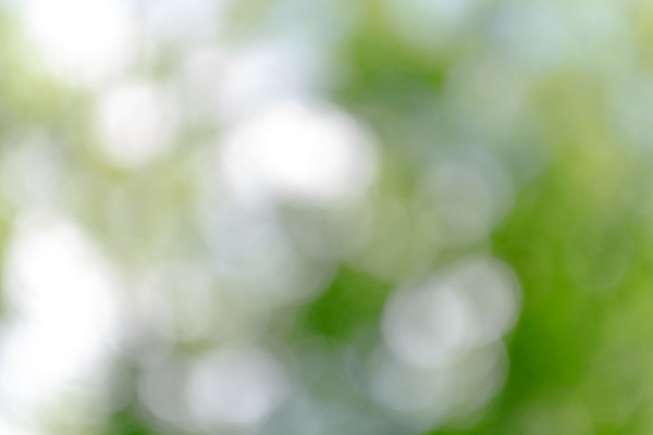 포토 JPG 해외이미지 식물 배너 계절 공원 컬러 백그라운드 잎 패턴 일러스트 자연 벽지 추상 휴가 미술 사람없음 아웃포커스 장식 초록색 빛 뷰티 우주 환경 정원 맑음 에너지 정보 성장 신선 원형 신용카드 소프트포커스 숲 에코 보케 부드러움 마법 녹색배경 블러 생태학 스타일 카피스페이스 효과 해외202309 해외포토 도형 공공시설 교육 무늬 날씨 문화예술 촬영기법 금융 공백 감각 생태계 파일형식