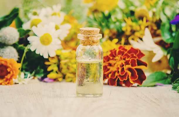 포토 JPG 해외이미지 꽃 잎 유리병 사람없음 약초 해외202309 해외포토 식물 병_용기 풀_식물 파일형식