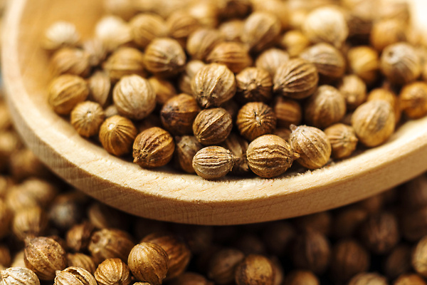 포토 JPG 해외이미지 음식 백그라운드 농업 재료 건조 건강 요리 씨앗 사람없음 갈색 쌓기 흰색 양념 조미료 고수 맛 혼합 인도인 허브 유기농 매움 날것 아로마 향료 향 흙더미 건강식 내추럴 생식 해외202309 해외포토 외국인 식물 웰빙 산업 컬러 컨셉 모션 동양인 흙 향신료 향기 냄새 향미료 파일형식 더미