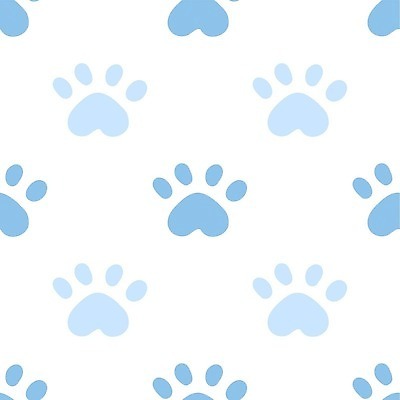 EPS 해외이미지 동물 행복 어린이 백그라운드 패턴 일러스트 곰 벽지 장식 파란색 반려동물 컬러풀 귀여움 고양이 놀이방 아기 개 강아지 낙서 인쇄 발자국 만화 천 그림 질감 심플 부드러움 단계 송곳니 선로 양발 자취 파스텔톤 벡터 반복 해외202309 해외일러스트 감정 컬러 컨셉 무늬 포유류 자국 사람 직물 감각 치아 파일형식