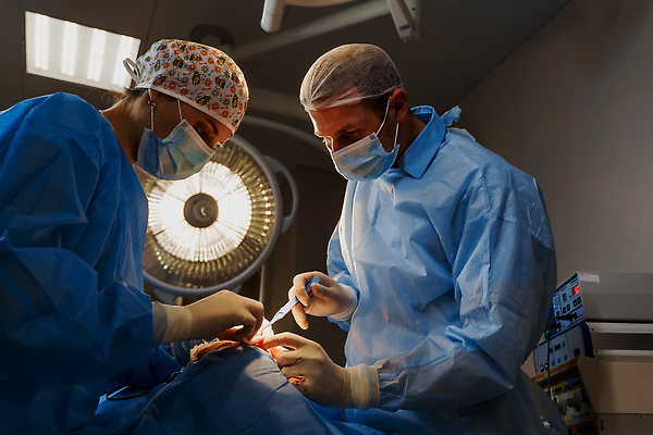 포토 JPG 해외이미지 백인 손 여자 얼굴 장갑 건강 병원 사람 성인 치료 세명 뷰티 약 건강관리 화장품 시험 환자 의사 기구 업무 수술 플라스틱 자르기 피부 그림 리프트 안과 외과 테라피 돌봄 리프팅 해외202309 해외포토 서양인 잡화 교육 의학 모션 재질 관리 신체부위 의료진 작업 파일형식