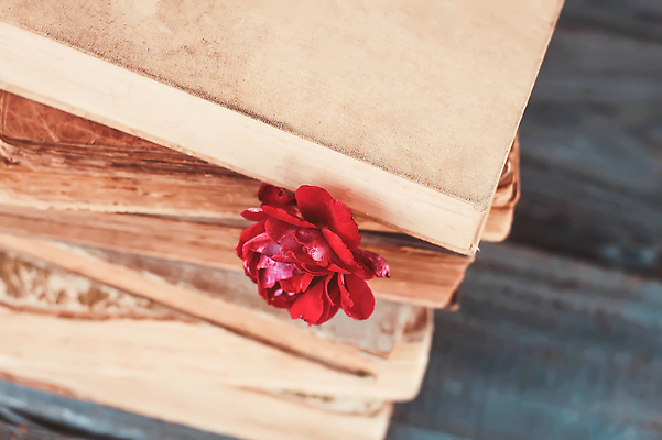 포토 JPG 해외이미지 디자인 교육 꽃 종교 종이 분홍색 결혼 백그라운드 패턴 학교 벽지 동화 발렌타인데이 이야기 사랑 미술 사람없음 야외 책 빛 장미 갈색 유행 성경 어둠 봄 꿈 추위 수확 골동품 아빠 도서관 신비 오브젝트 질감 복고 엽서 문학 페이지 공상 마법 그런지 옛날 힙스터 해외202309 해외포토 식물 계절 패션 감정 컬러 컨셉 무늬 농업 종교용품 가족 데이이벤트 문화예술 이벤트 편지 파일형식