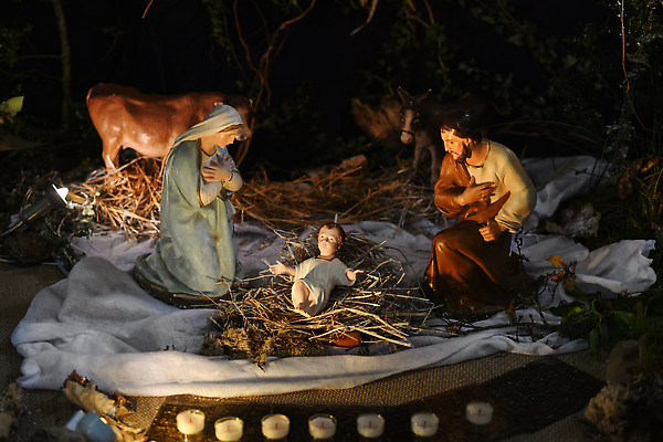 포토 JPG 해외이미지 계절 별 기독교 종교 어린이 여행 크리스마스 가족 엄마 천사 기념 사람없음 장식 교회 성경 기도 아기 양 예수 소 성자 장면 신성 마리아 당나귀 밀짚 요셉 외양간 램 베들레헴 숭배 신앙심 해외202309 해외포토 자연요소 기념일 종교용품 포유류 관계 종교건축 사람 건물 말_동물 신_종교 짚 파일형식