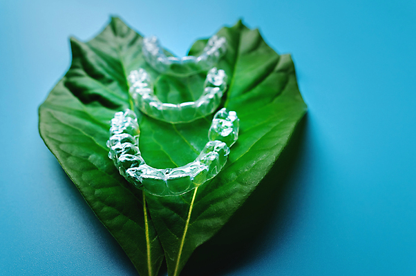 포토 JPG 해외이미지 잎 사람없음 아웃포커스 청결 투명 파란배경 위생관리 치아교정 해외202309 해외포토 식물 백그라운드 촬영기법 관리 파란색 위생 교정 파일형식