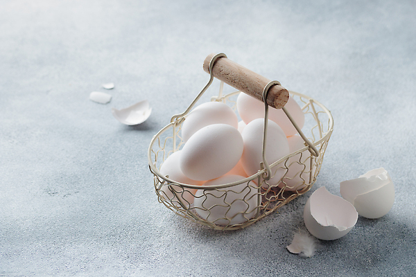 포토 JPG 해외이미지 음식 재료 가정 자연 부활절 건강 사람없음 농장 바구니 계란 치킨 회색 껍질 흰색 신선 그룹 아침식사 먹기 오브젝트 에코 유기농 날것 심플 콘크리트 카피스페이스 해외202309 해외포토 웰빙 기념일 컬러 농업 모션 환경 알 식사 공백 생태계 닭고기요리 파일형식