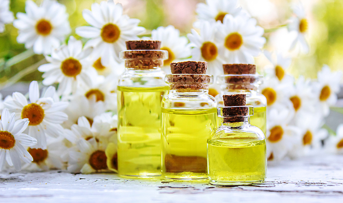 포토 JPG 해외이미지 사람없음 아웃포커스 약초 오일 아로마테라피 내추럴 에센스 캐모마일 해외202309 해외포토 꽃 음식 촬영기법 화장품 풀_식물 허브 테라피 파일형식