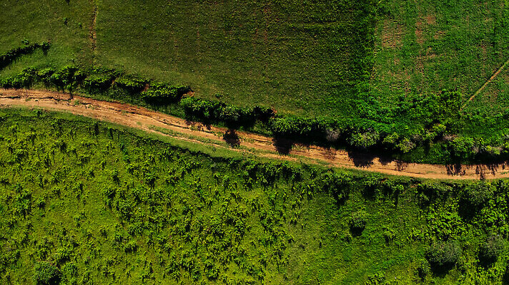 포토 JPG 해외이미지 나무 도로 길 여행 백그라운드 밭 교통시설 자국 자연 하늘 산 안테나 파노라마 3 사람없음 야외 목재 초록색 환경 봄 운전 시골 신선 정상 숲 땅 방향 생태계 질감 먼지 내추럴 항공촬영 드론 방법 생태학 자동 조감도 비어있는 해외202309 해외포토 식물 계절 교육 뷰포인트 컬러 교통 농업 재료 통신 모션 촬영기법 시설 파일형식