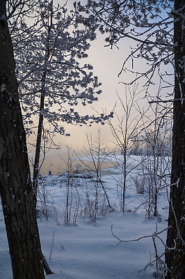 포토 JPG 해외이미지 나무 백그라운드 겨울 자연 하늘 날씨 추상 사람 사람없음 야외 뷰티 환경 냉동 추위 도시 시간 소나무 눈송이 숲 연도 그림 전나무 폭설 해외202309 해외포토 식물 계절 무늬 눈_날씨 자연재해 생태계 파일형식