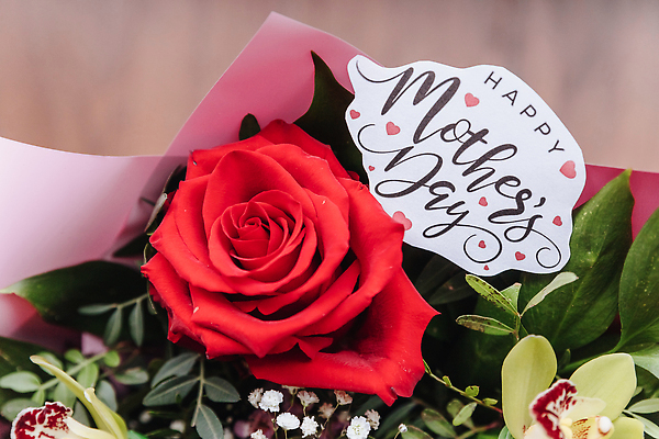 포토 JPG 해외이미지 식물 디자인 기념일 꽃잎 꽃 행복 분홍색 꽃다발 결혼 꽃무늬 텍스트 자연 엄마 휴가 국화 발렌타인데이 선물 사랑 사람없음 장식 빨간색 뷰티 장미 놀람 봄 낭만 벚꽃 흰색 축하 인사 신선 신용카드 생일 난초 5월 질감 엽서 어머니의날 해외202309 해외포토 계절 감정 컬러 컨셉 무늬 가족 데이이벤트 표정 이벤트 금융 예절 날짜 편지 생태계 미국문화 파일형식