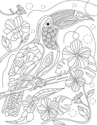 EPS 해외이미지 식물 동물 디자인 꽃 야생동물 백그라운드 잎 꽃무늬 패턴 일러스트 자연 추상 잉크 흑백 성인 컴퓨터그래픽 장식 책 여름 컬러풀 벚꽃 나뭇가지 화려 낙서 숲 만화 수집 깃털 그림 윤곽 페이지 색칠공부 열대기후 해외202309 해외일러스트 나무 계절 컬러 컨셉 무늬 촬영기법 사람 그래픽 학습 색칠 생태계 파일형식 벡터