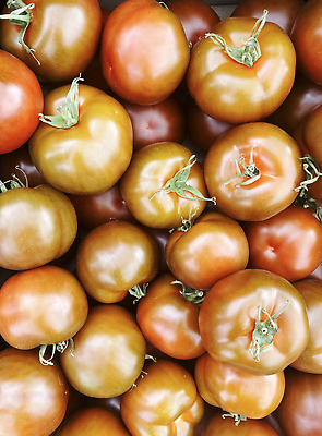 포토 JPG 해외이미지 음식 백그라운드 농업 다이어트 토마토 채소 오렌지 과일 재료 자연 건강 종류 비프스테이크 씨앗 사람없음 목재 빨간색 초록색 상자 컬러풀 농장 노란색 정원 수확 신선 체리 시장 맛 농부 유기농 원예 날것 포도나무 내추럴 밭일 숙성 채식주의자 많음 비건 해외202309 해외포토 나무 식물 직업 웰빙 산업 컬러 컨셉 스테이크 취미 소고기 과일나무 생태계 채식 파일형식