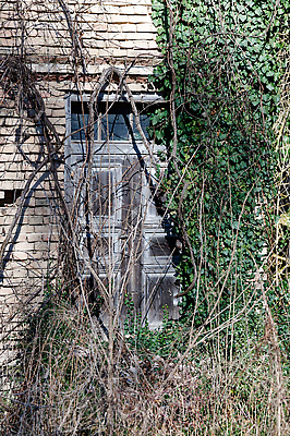 포토 JPG 해외이미지 나무 식물 건축물 벽 백그라운드 건축양식 자연 벽돌 주택 사람없음 야외 건물 목재 초록색 농가 갈색 문 환경 정원 시골 도시 버리기 질감 내추럴 깨짐 옛날 정문 해외202309 해외포토 건축 컬러 컨셉 재료 모션 농장 생태계 파일형식