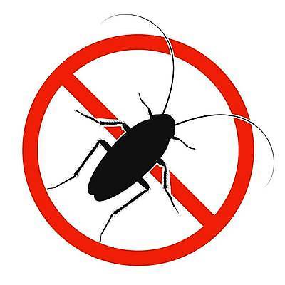 EPS 해외이미지 일러스트 경고 사람없음 픽토그램 금지 해충 심볼 바퀴벌레 해외202309 해외일러스트 곤충 벌레 파일형식 벡터