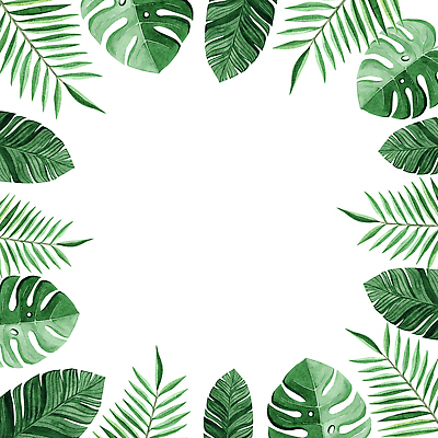 포토 JPG 해외이미지 나무 식물 템플릿 디자인 배너 포스터 여행 결혼 백그라운드 잎 꽃무늬 일러스트 자연 결혼식 프레임 바나나 손바닥 미술 이벤트 사람없음 장식 초록색 파티 정원 나뭇가지 신선 신용카드 열대우림 정사각형 하와이 초대 내추럴 고립 이국적 파라다이스 알로하 그리너리 국경 해외202309 해외일러스트 도형 손 꽃 컬러 무늬 과일 문화예술 금융 미국 인사 숲 생태계 파일형식 트랜드컬러