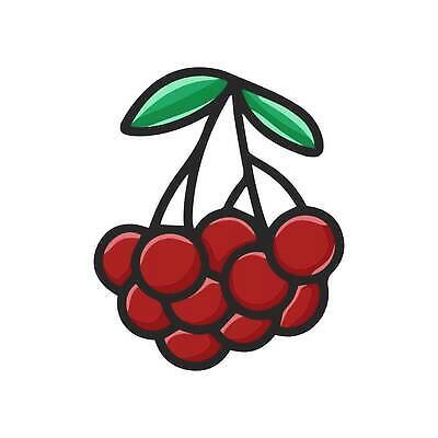 EPS 해외이미지 클립아트 식물 디자인 계절 열매 음식 컬러 백그라운드 크리스마스 일러스트 자연 새해 그래픽 장식 빨간색 정원 수확 흰색 나뭇가지 신선 플랫 달콤 만화 다발 유기농 내추럴 고립 숙성 엘리먼트 벡터 해외202309 해외일러스트 나무 웰빙 기념일 농업 맛 생태계 파일형식