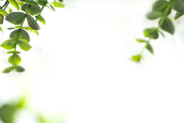 포토 JPG 해외이미지 나무 식물 디자인 계절 컬러 백그라운드 컨셉 잎 패턴 자연 벽지 추상 미술 사람없음 야외 초록색 빛 컬러풀 햇빛 뷰티 환경 정원 맑음 봄 활발 흰색 나뭇가지 신선 원형 소프트포커스 숲 질감 보케 부드러움 내추럴 블러 생태학 그리너리 효과 해외202309 해외포토 도형 교육 무늬 날씨 문화예술 촬영기법 태양 감각 생태계 파일형식 트랜드컬러