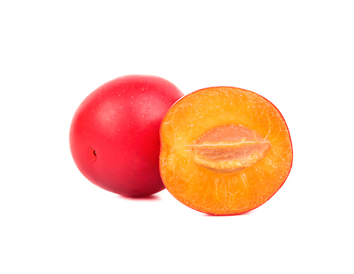 포토 JPG 해외이미지 음식 컬러 백그라운드 다이어트 과일 재료 부분 건강 사람없음 빨간색 보라색 바위 흰색 신선 원형 체리 그룹 달콤 맛 오브젝트 유기농 채식 날것 광택 비타민 자두 고립 숙성 채식주의자 비건 해외202309 해외포토 도형 웰빙 컨셉 돌_바위 영양소 파일형식