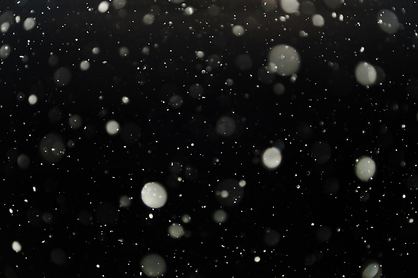 포토 JPG 해외이미지 디자인 별 컬러 조각 백그라운드 크리스마스 겨울 패턴 벽지 하늘 날씨 추상 휴가 새로움 사람없음 장식 파란색 빛 반짝임 우주 검은색 축제 어둠 흰색 축하 원형 눈송이 화려 떨어짐 은색 야간 소프트포커스 연도 보케 먼지 마법 광 블러 엘리먼트 폭설 카피스페이스 효과 해외202309 해외포토 자연요소 도형 계절 기념일 컨셉 무늬 모션 눈_날씨 촬영기법 공백 자연재해 파일형식