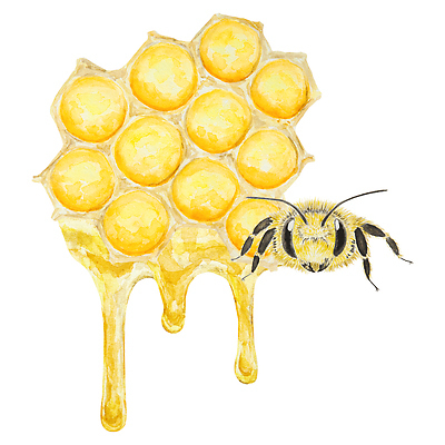 JPG 해외이미지 한마리 일러스트 사람없음 달콤 꿀벌 꿀 흘림 벌집 허니콤 해외202309 해외일러스트 모양 1 모션 맛 벌_곤충 파일형식
