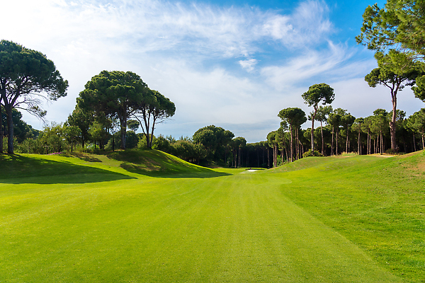 포토 JPG 해외이미지 나무 호수 스포츠 백그라운드 밭 골프 골프장 놀이 하늘 파노라마 잔디 사람없음 초록색 물 파란색 햇빛 태양 맑음 골프채 소나무 강의 클럽 휴양지 칠면조 페어웨이 카피스페이스 비어있는 해외202309 해외포토 자연요소 식물 컬러 농업 스포츠시설 조류 날씨 골프용품 촬영기법 구기 공백 장소 파일형식